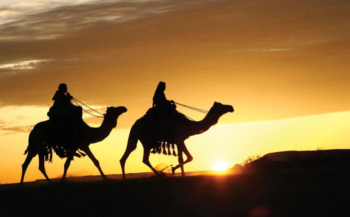 Ensar ve Muhacir Arasındaki Kardeşliğin Boyutuna Dair Dikkat Çeken Bir Rivayetin Tahlili